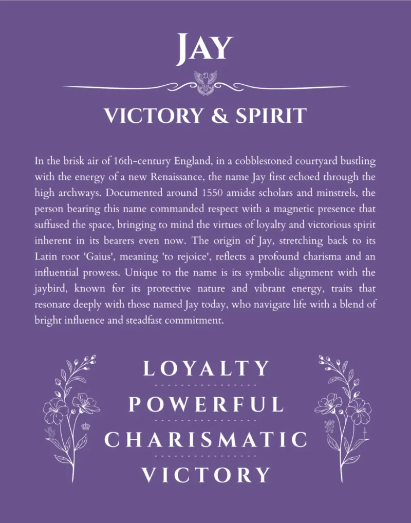 Jay name meaning wall art by Get Your Story in purple