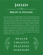 Jaylen personalized name print with origin and traits in dark green