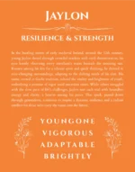 Jaylon personalized name print with origin and traits in orange