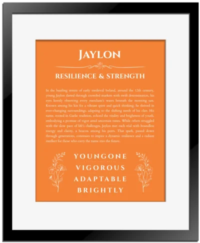Jaylon personalized name print with origin and traits in orange with black matte frame