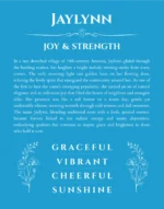 Jaylynn personalized name print with origin and traits in blue