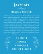 Jayvian personalized name print with origin and traits in blue