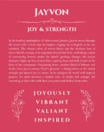 Jayvon name meaning gift print in red