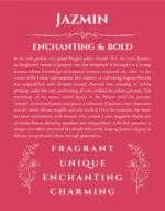 Jazmin personalized name print with origin and traits in red