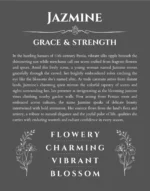 Jazmine name origin print with meaning and traits in gray