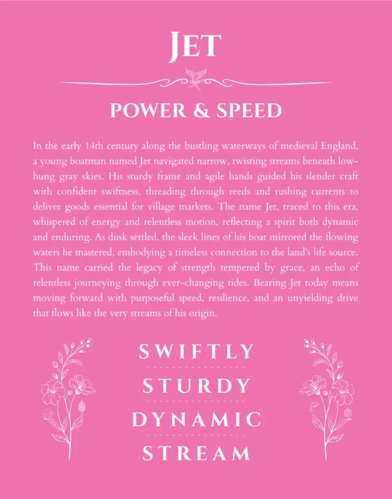 Jet personalized name print with origin and traits in pink