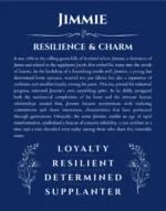 Jimmie personalized name art with origin story in deep blue