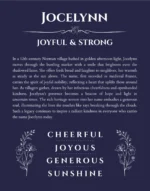 Jocelynn custom name print for wall display in navy blue
