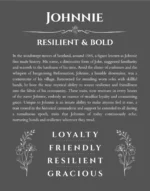 Johnnie personalized name art with origin story in gray