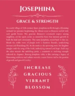 Josephina personalized name art with origin story in red
