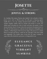 Josette name origin print with meaning and traits in gray
