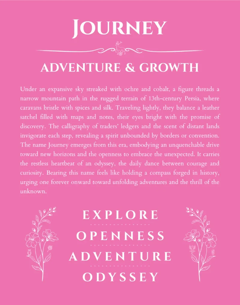 Journey personalized wall art with the story of your name in pink