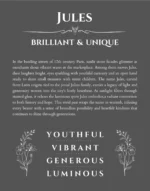 Jules personalized wall art with the story of your name in gray
