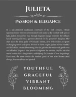 Julieta personalized name meaning print in gray