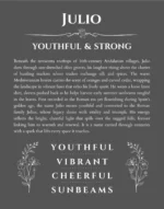 Julio name meaning wall art by Get Your Story in gray