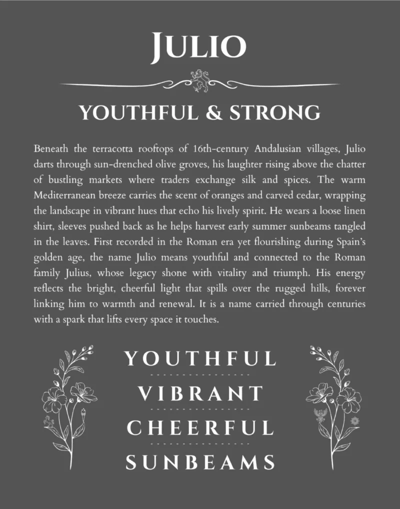 Julio name meaning wall art by Get Your Story in gray