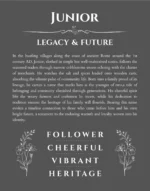 Junior personalized wall art with the story of your name in gray