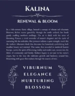Kalina custom name meaning print in navy blue