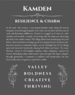 Kamden custom name art showing meaning and origin in gray