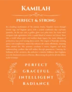 Kamilah custom name art showing meaning and origin in orange