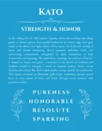 Kato personalized wall art with the story of your name in blue