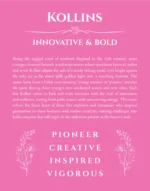 Kollins personalized name print with origin and traits in pink