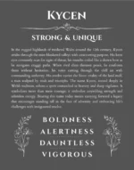 Kycen custom name art showing meaning and origin in gray