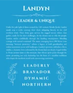 Landyn custom name print for wall display in blue