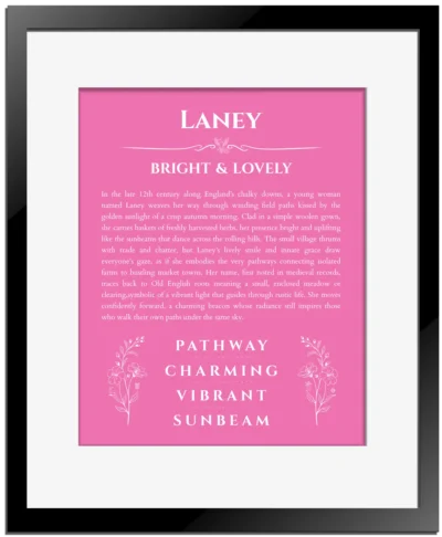 Laney personalized wall art with the story of your name in pink with black matte frame