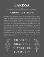 Larissa personalized name print with origin and traits in gray