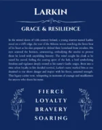 Larkin personalized name art with origin story in deep blue