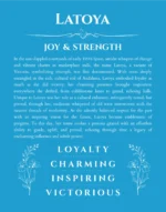 Latoya personalized wall art with the story of your name in blue