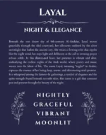 Layal personalized name print with origin and traits in navy blue