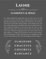 Laynie name meaning wall art by Get Your Story in gray