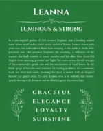 Leanna personalized wall art with the story of your name in dark green
