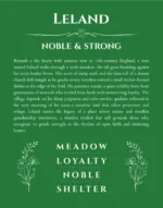Leland personalized wall art with the story of your name in dark green