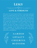 Lesly personalized name art with origin story in blue
