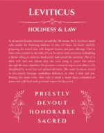 Leviticus personalized wall art with the story of your name in red