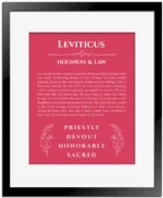 Leviticus personalized wall art with the story of your name in red with black matte frame