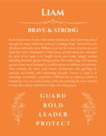 Liam name origin print with meaning and traits in orange