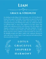 Lian custom name art showing meaning and origin in blue