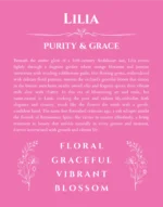 Lilia custom name print for wall display in pink