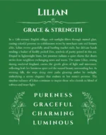 Lilian personalized name print with origin and traits in dark green
