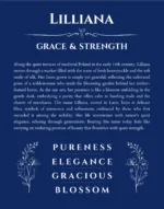 Lilliana personalized name art with origin story in deep blue