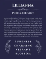 Lillianna personalized name print with origin and traits in navy blue