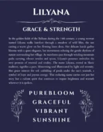 Lilyana personalized name art with origin story in navy blue