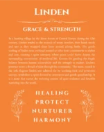 Linden personalized name print with origin and traits in orange