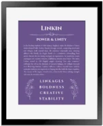 Linkin personalized name art with origin story in purple with black matte frame