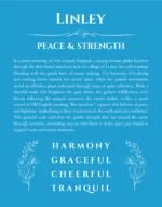 Linley personalized name print with origin and traits in blue