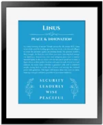 Linus personalized wall art with the story of your name in blue with black matte frame